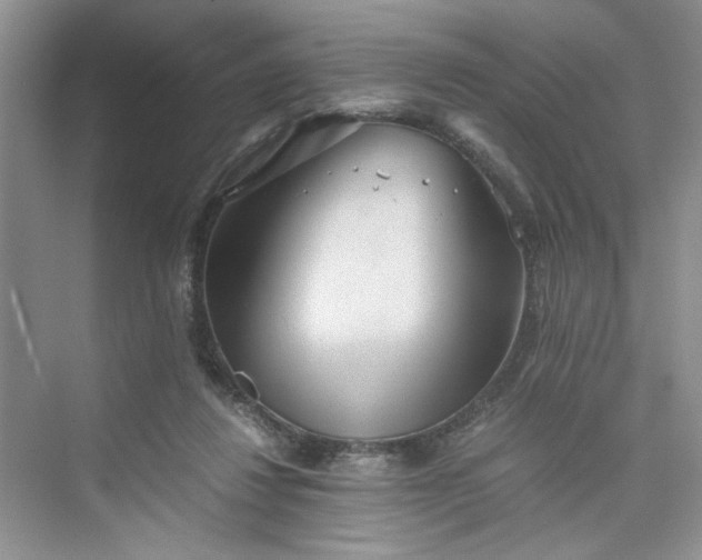 X0000075810260200609291352