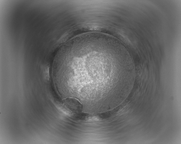 X0000075810262200609291352