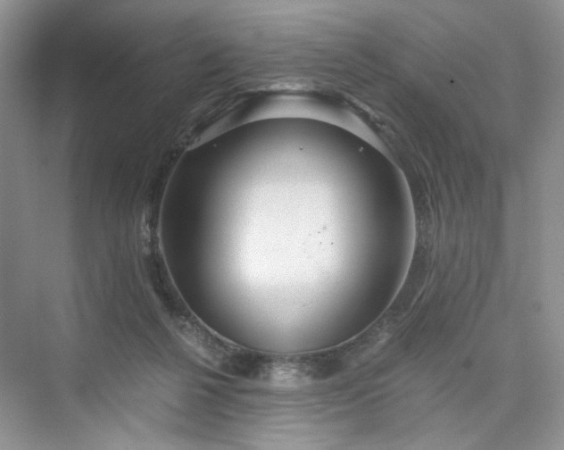 X0000075810264200609291352