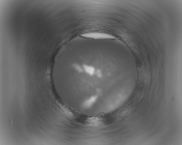 X0000075810269200609291353