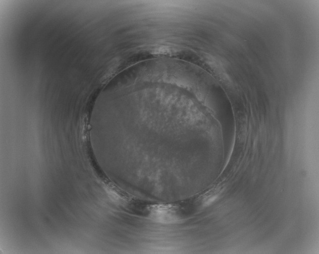 X0000075810273200609291353