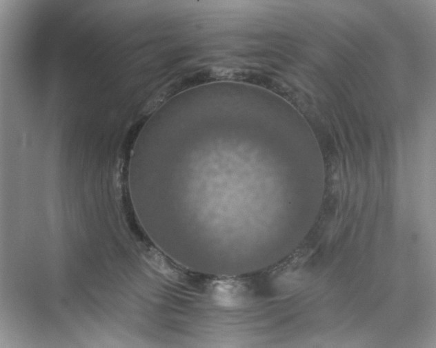 X0000075810275200609291353