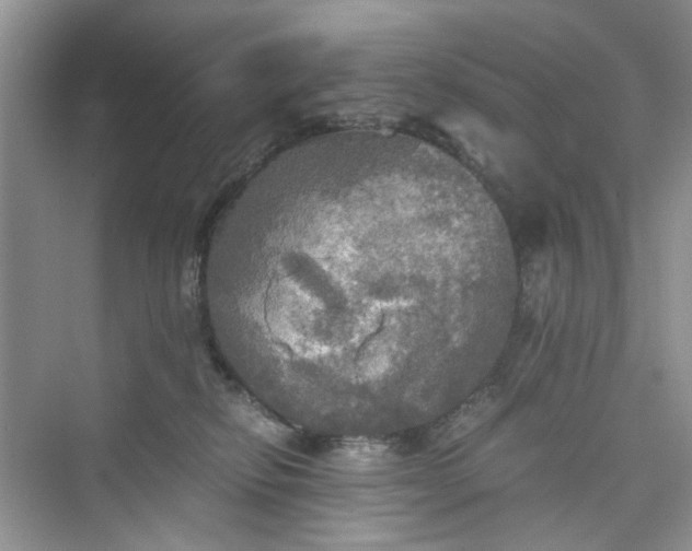 X0000075810278200609291353