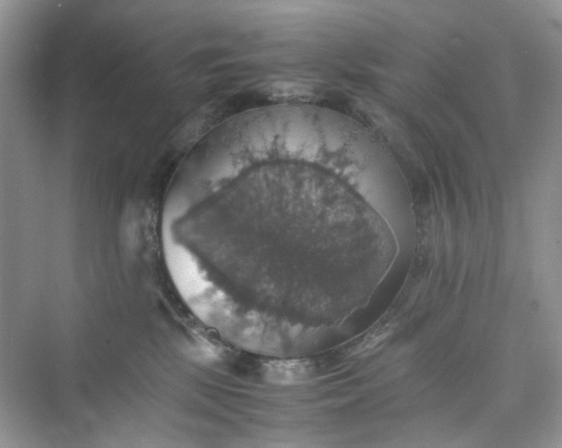 X0000075810281200609291353