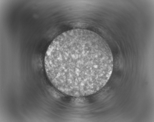 X0000075810282200609291353