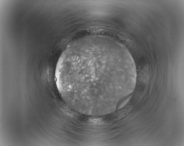 X0000075810283200609291353