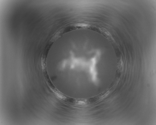 X0000075810285200609291353