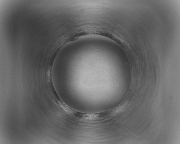 X0000075810288200609291353