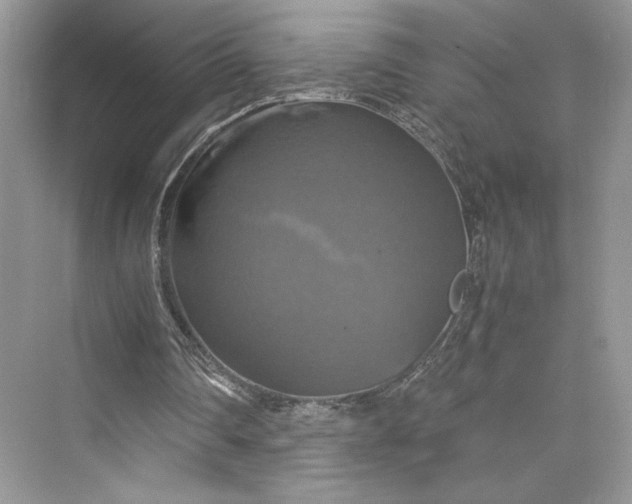 X0000075810290200609291352