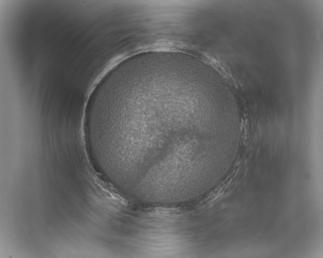 X0000075810292200609291352