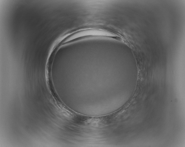 X0000075810294200609291352