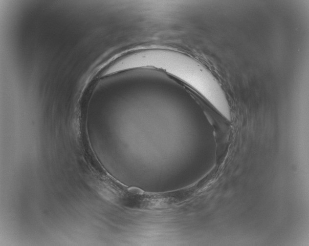 X0000075810295200609291352