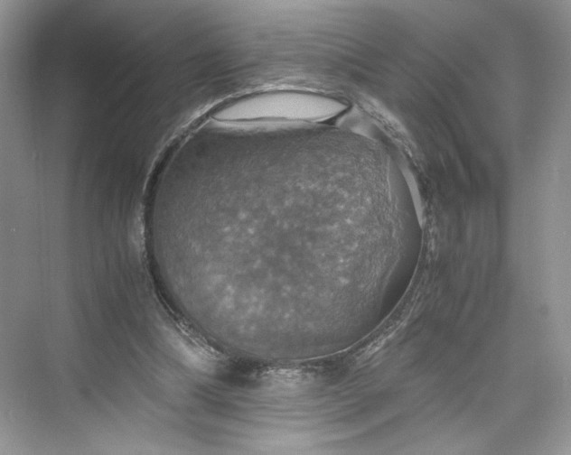 X0000075810298200609291352