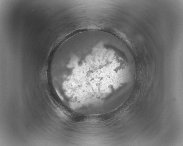 X0000075810299200609291352