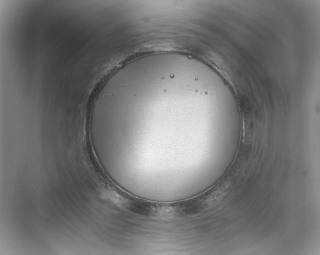 X0000075810301200609291352