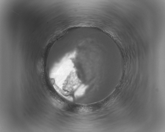 X0000075810303200609291352