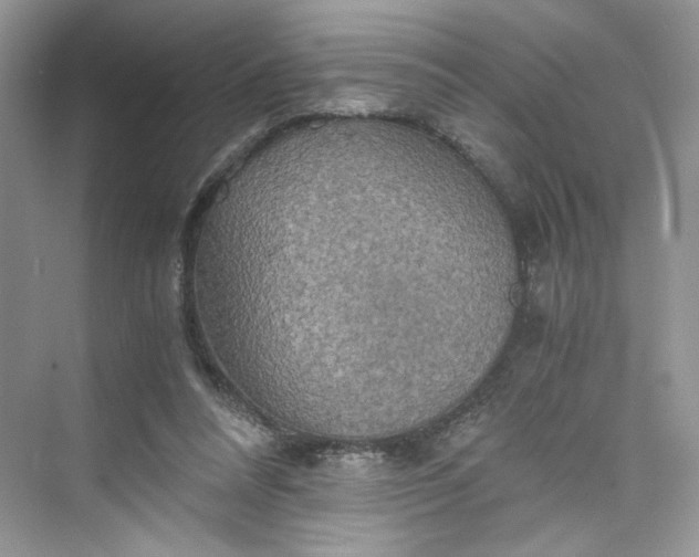 X0000075810304200609291352