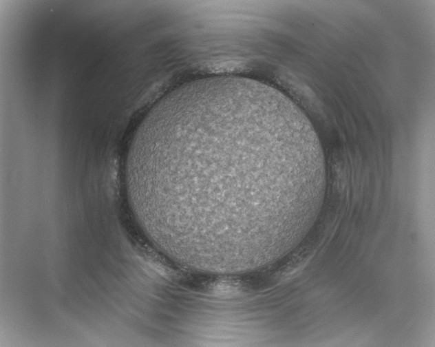 X0000075810308200609291352