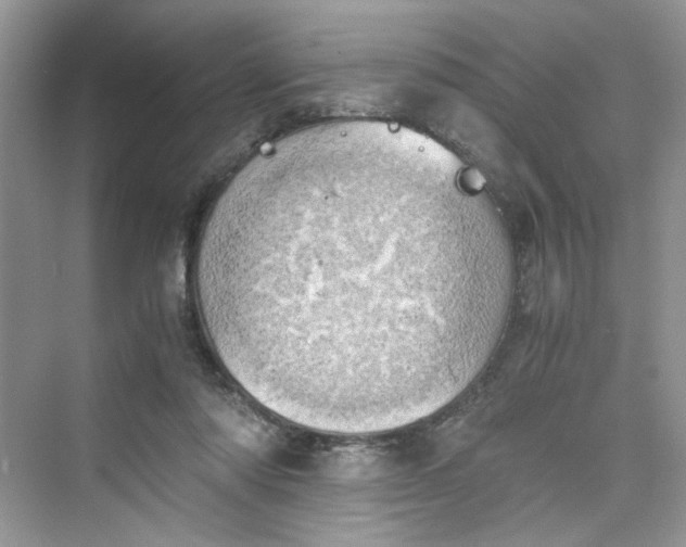 X0000075810310200609291352