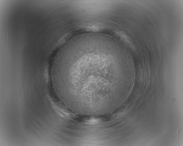 X0000075810312200609291352