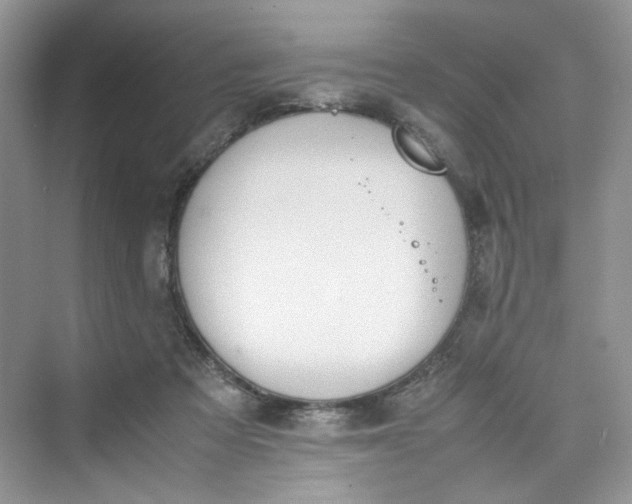 X0000075810313200609291352