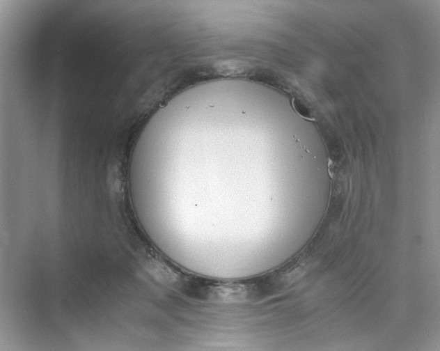 X0000075810317200609291352