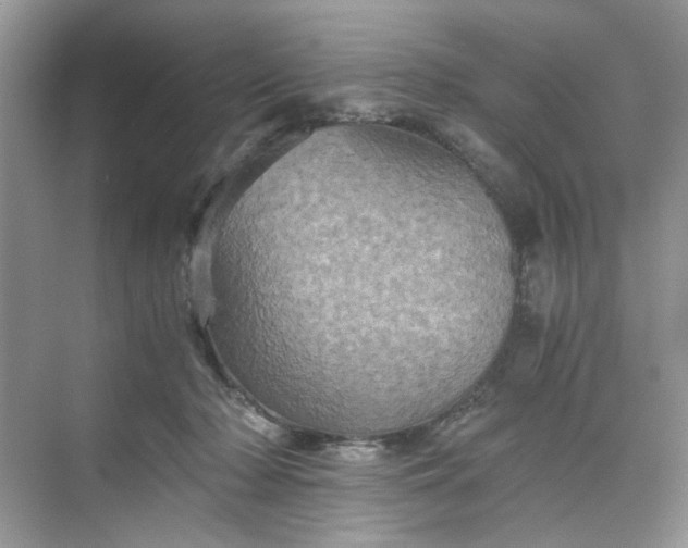 X0000075810318200609291352