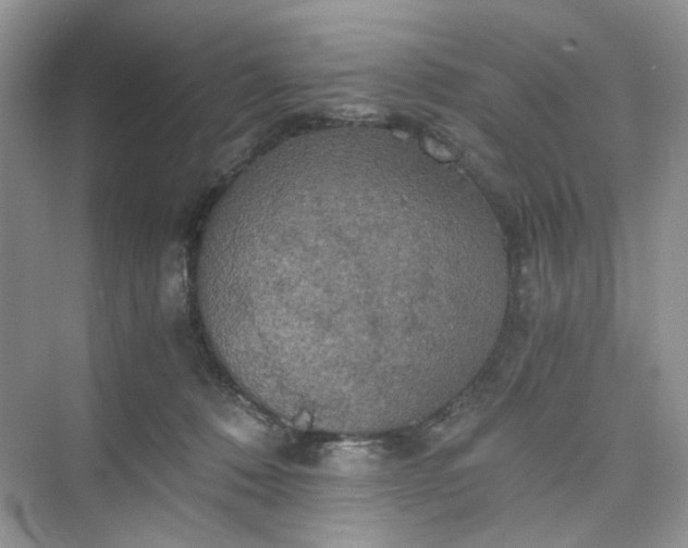 X0000075810320200609291352