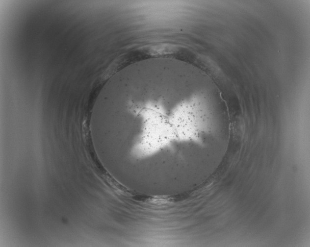 X0000075810327200609291351