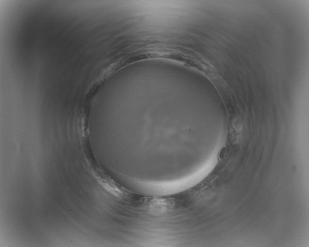 X0000075810330200609291351