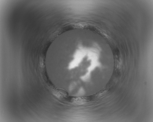 X0000075810331200609291351