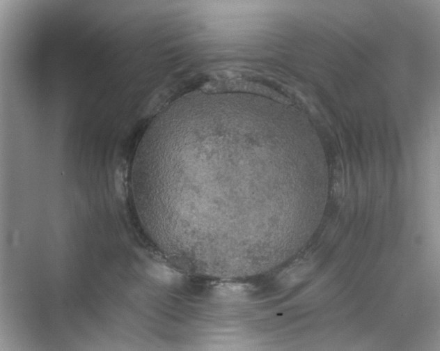 X0000075810332200609291351