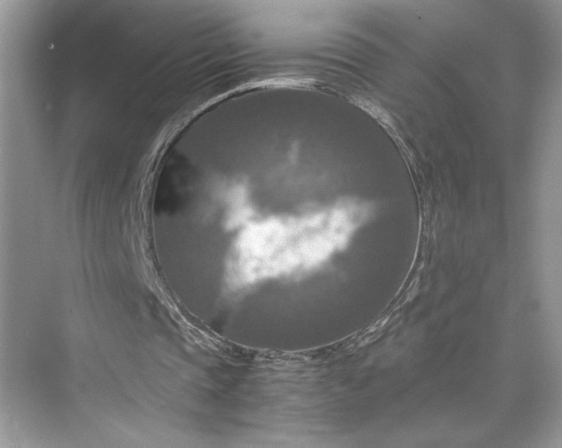 X0000075810337200609291350