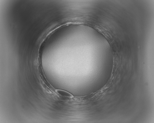 X0000075810338200609291351