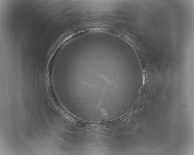 X0000075810339200609291351