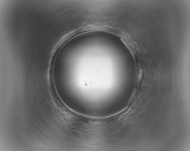 X0000075810340200609291351