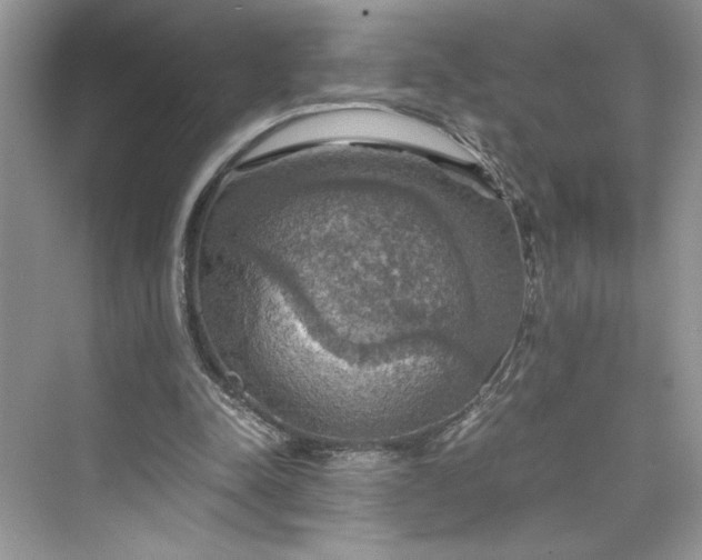 X0000075810342200609291351