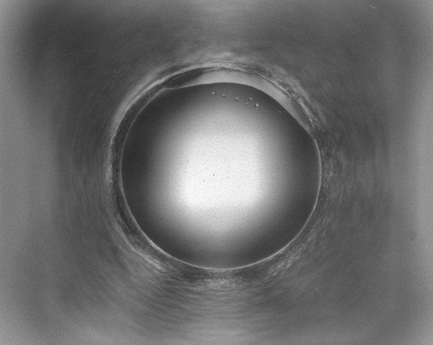 X0000075810344200609291351