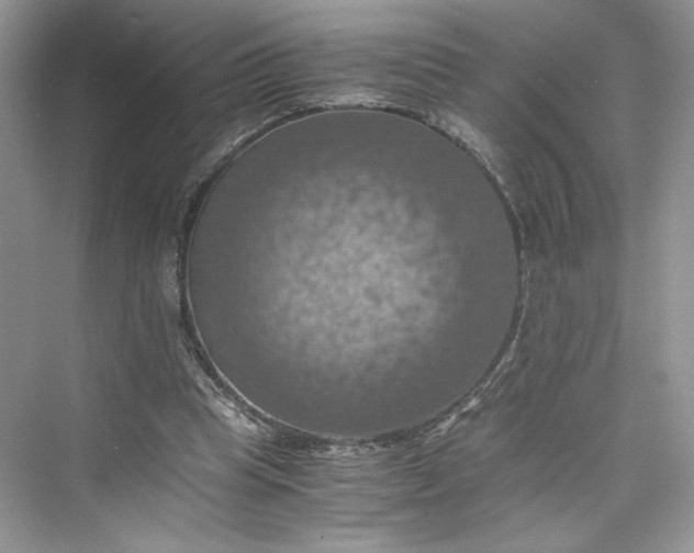 X0000075810345200609291351