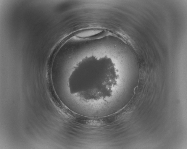 X0000075810347200609291351