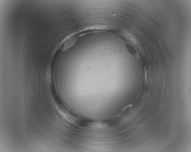 X0000075810348200609291351