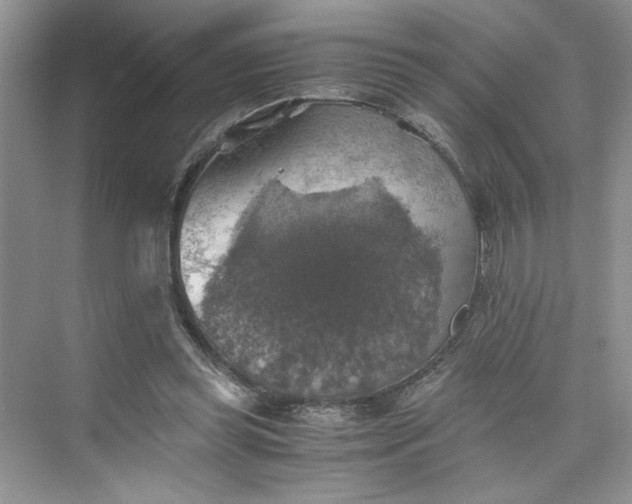 X0000075810349200609291351