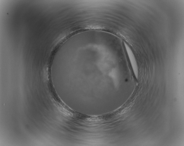 X0000075810351200609291351