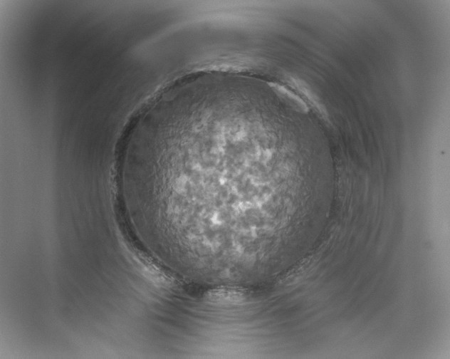 X0000075810354200609291351