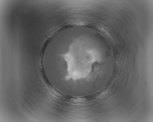 X0000075810359200609291351