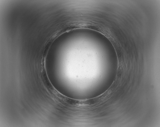 X0000075810360200609291351