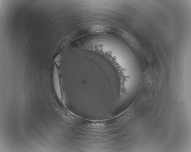 X0000075810361200609291351