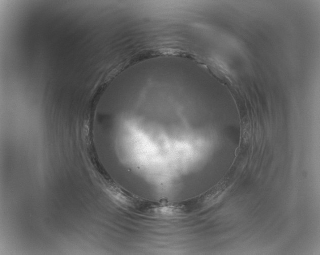 X0000075810365200609291351