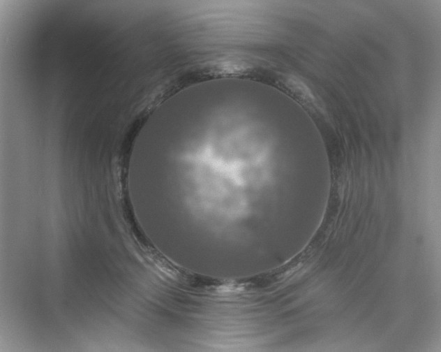 X0000075810366200609291351