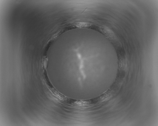 X0000075810367200609291351